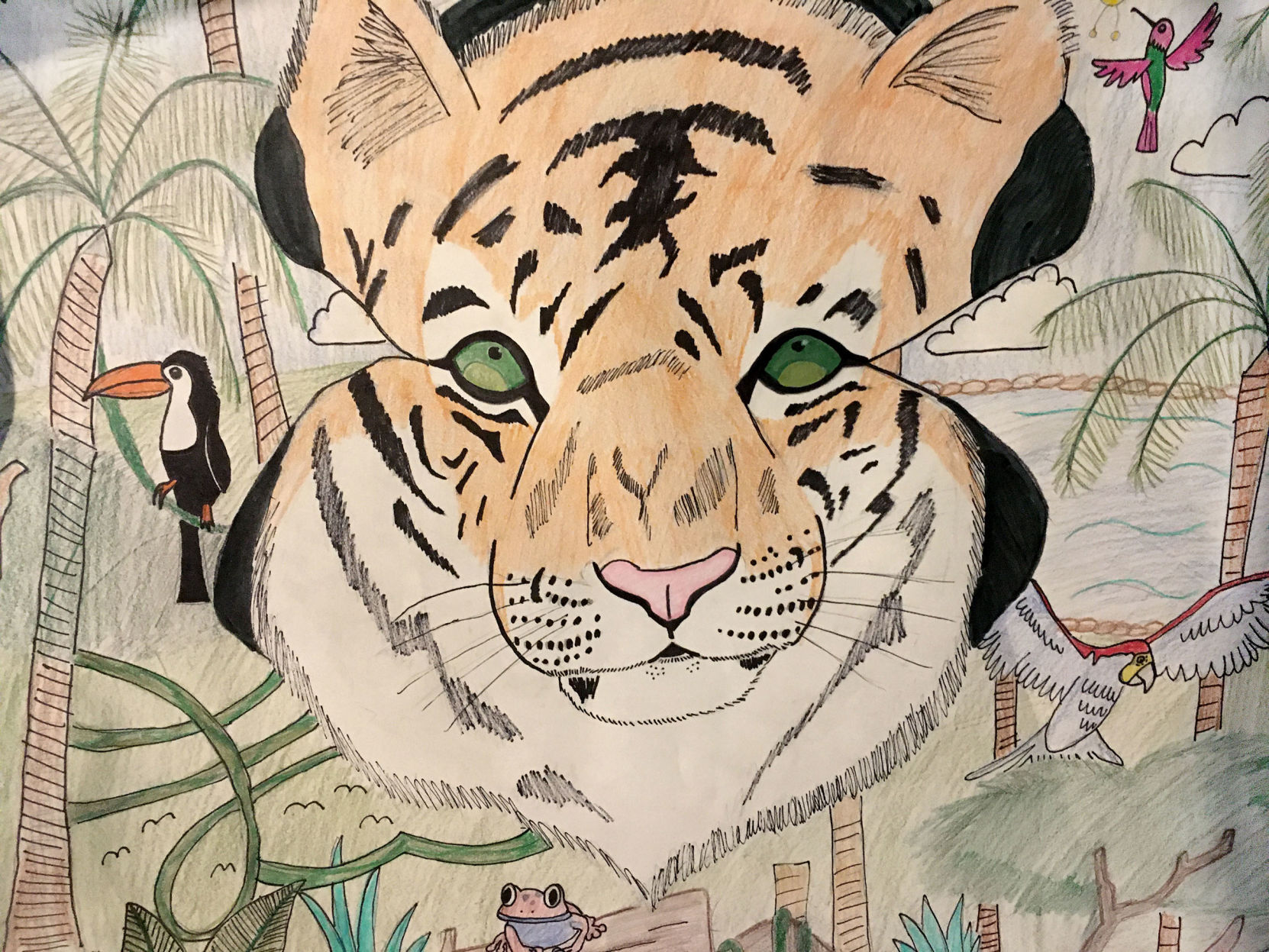 ‘In the Jungle’